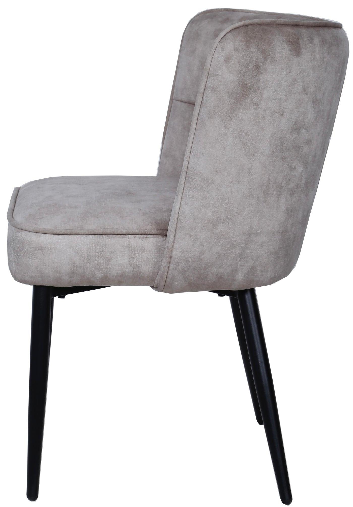 Stuhl Marth Samt in 3 Farben Cognac-braun creme-beige anthrazit-grau mit Metallgestell