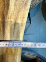 Mammut Baumstamm Esstisch Suar 300 lang und 8 cm massiv mit Spider Gestell