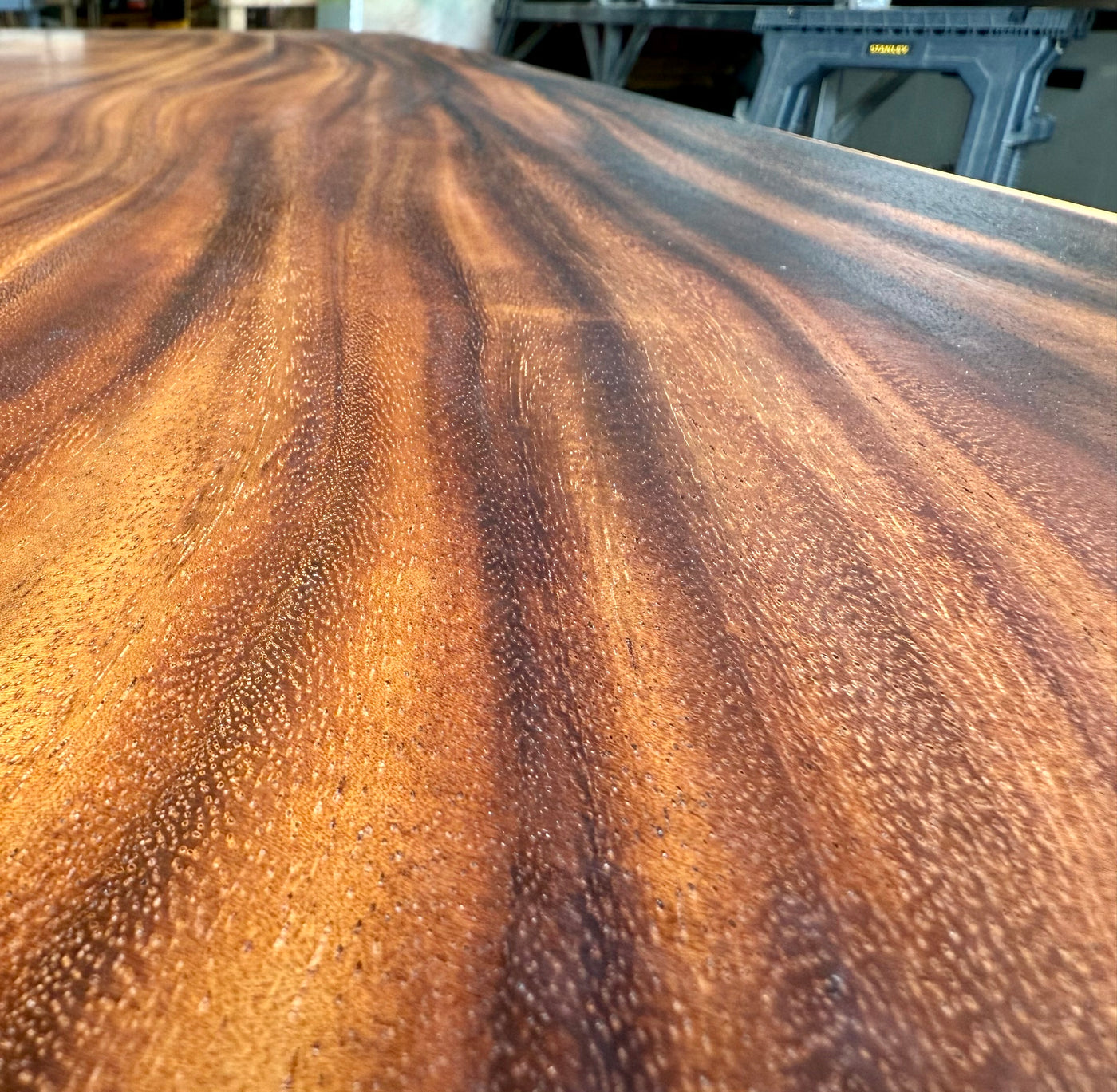 Epoxy Mammut Baumstamm Esstisch Suar 220 und 8 cm massiv mit Spider Gestell