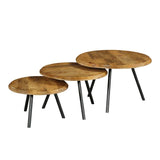 Couchtisch-Set rund Ohio Natur Mangoholz 70 cm