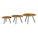 Couchtisch-Set rund Ohio Natur Mangoholz 70 cm