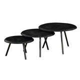 Couchtisch-Set Ohio Schwarz Mangoholz 70 cm