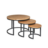Couchtisch-Set Dakota Natur Mangoholz in 2 Größen