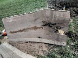 180 cm Edel Esche Baumstamm Tischplatte Holzplatte 5 cm massiv als Schreibtisch oder Esstisch verwendbar