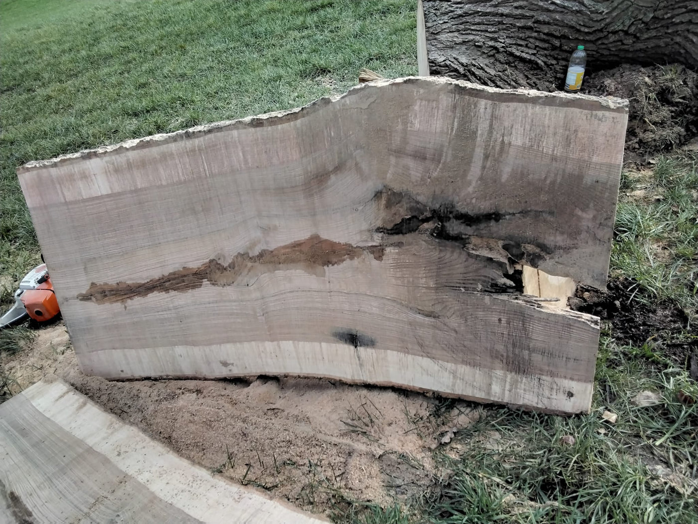 180 cm Edel Esche Baumstamm Tischplatte Holzplatte 5 cm massiv naturbelassene Baumkante