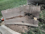 Lade das Bild in den Galerie-Viewer, 180 cm Edel Esche Baumstamm Tischplatte Holzplatte 5 cm massiv naturbelassene Baumkante
