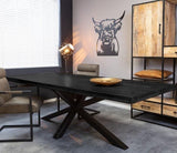 Mango Holz Esstisch Milano 300 cm mit Spidergestell 8 cm massiv